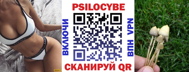 OMG ТОР  Пестово  Галлюциногенные грибы GOLDEN TEACHER 